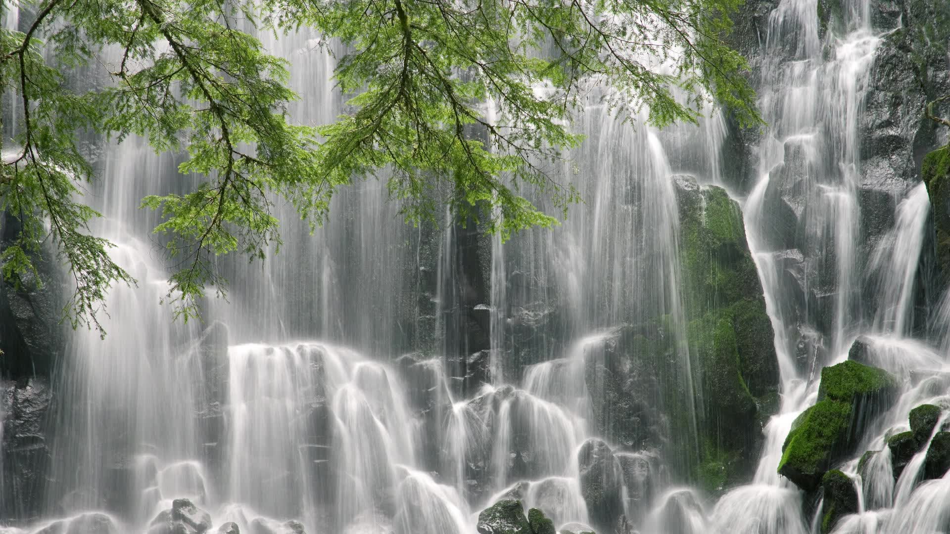 不懂规则但来看热闹的游客,不懂规则但来看热闹的游客叫什么